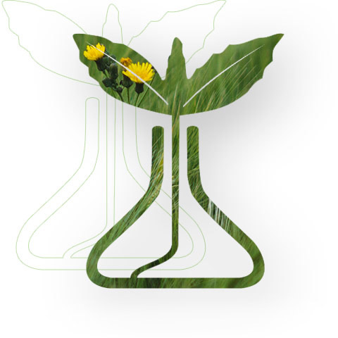 SBCPD - Sociedade Brasileira da Ciência das Plantas Daninhas